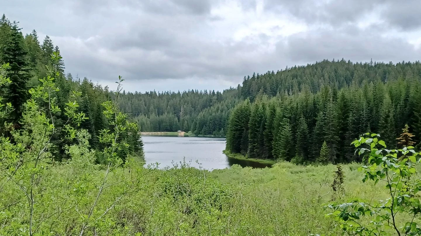 Hemlock Lake Campground