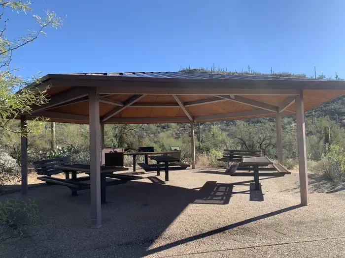 Sabino Canyon Recreation Area Cactus Ramada 2