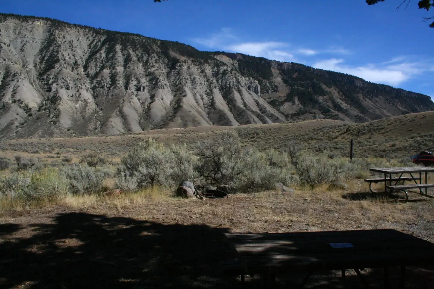 Mammoth site #29