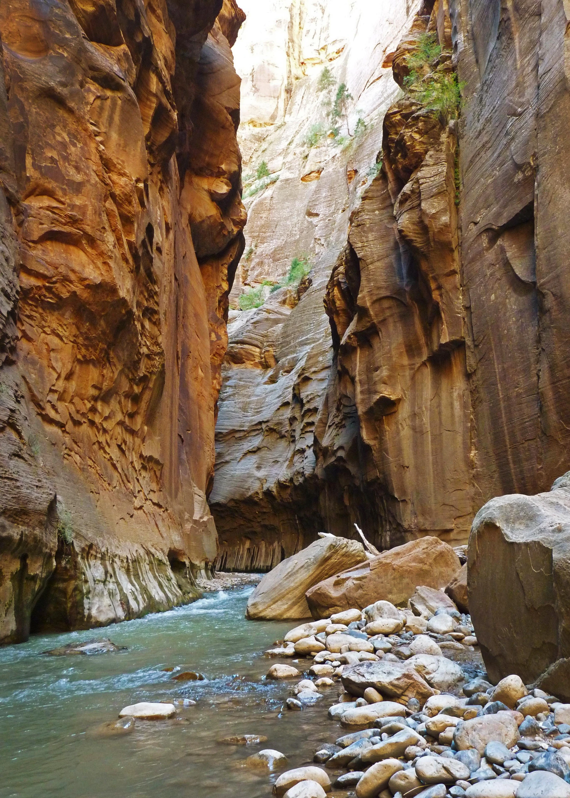 Zion National Park