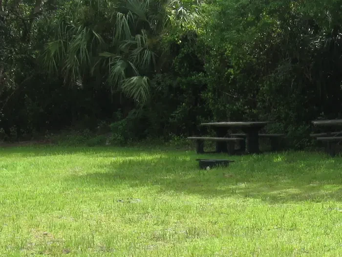 Pinecrest Group Campground