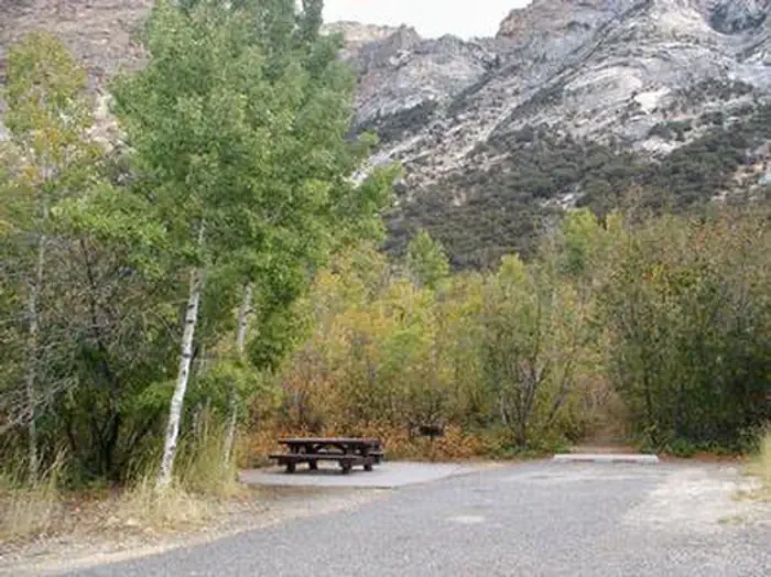 Thomas Canyon