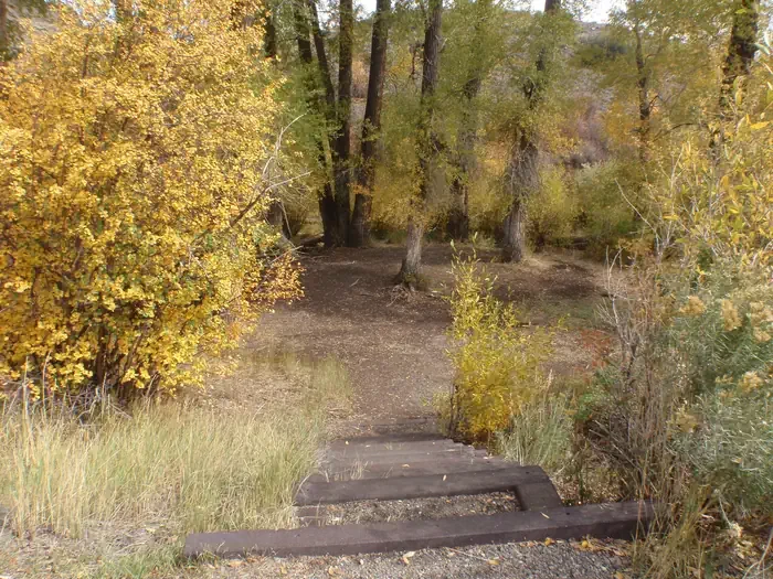Red Creek Group Site