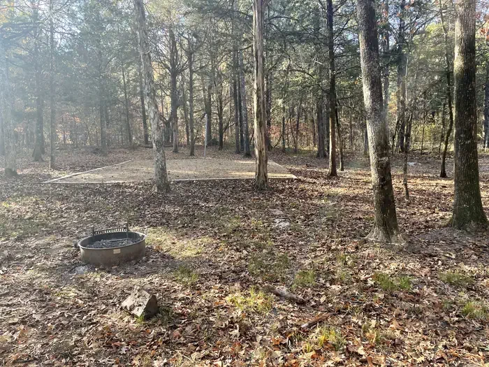 Site 9