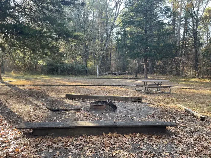 Site 1