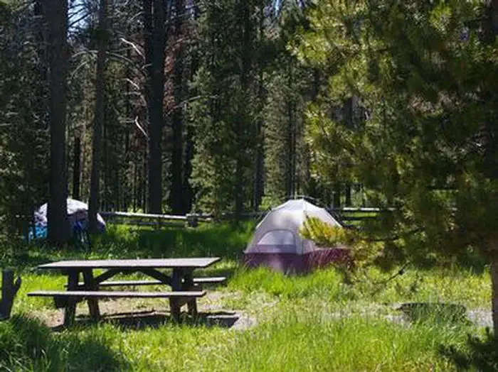 Trap Creek Campground