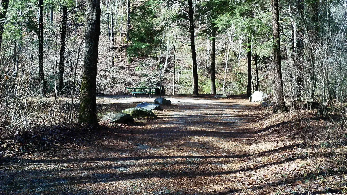 Tallulah River Campground