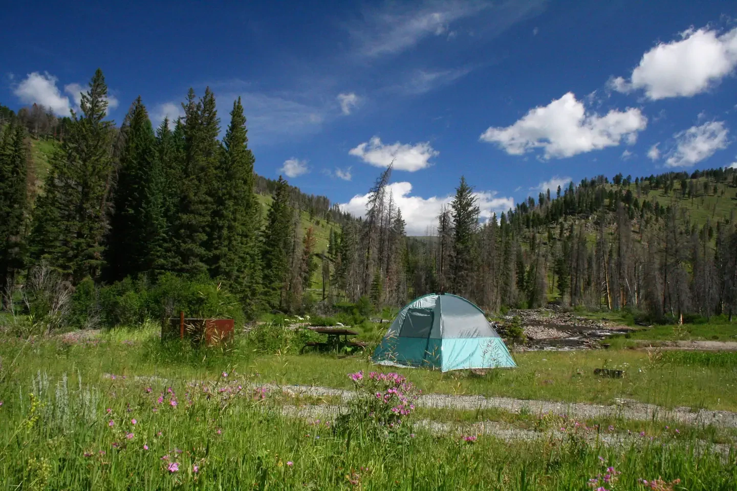 Slough Creek Campground