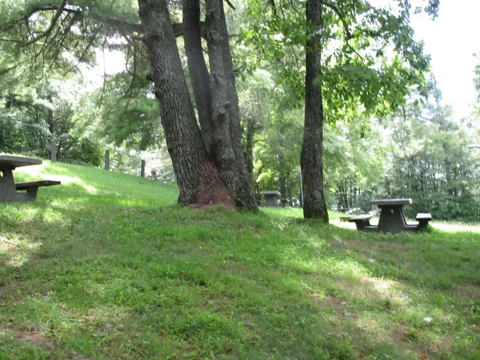 Group Site 1