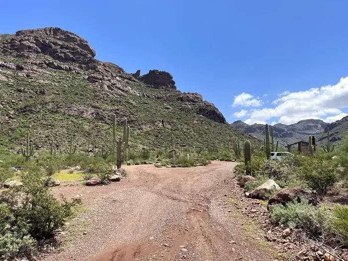 Alamo Canyon Primitive Campground