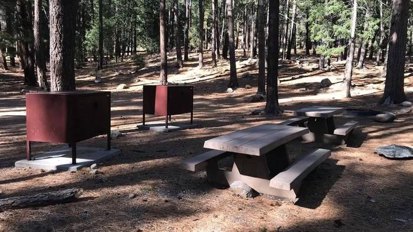 Lower Twilight Group Site