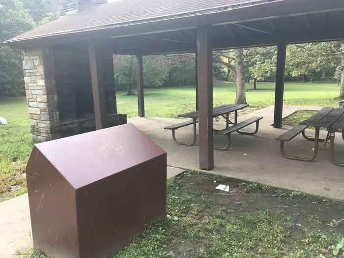 Picnic Grove 01 - 9:30AM to 1:30PM
