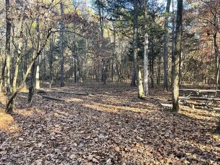 Site 5