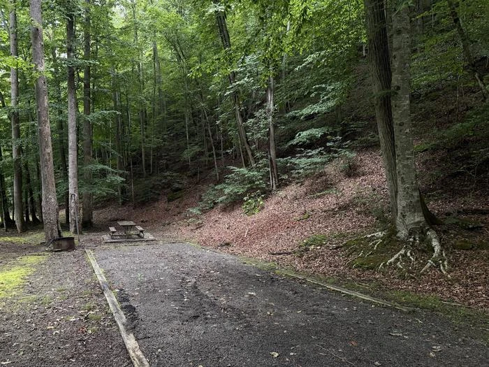 Site 21