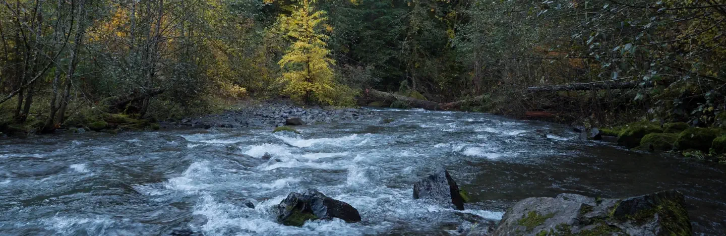 Panther Creek campground