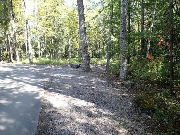 A35