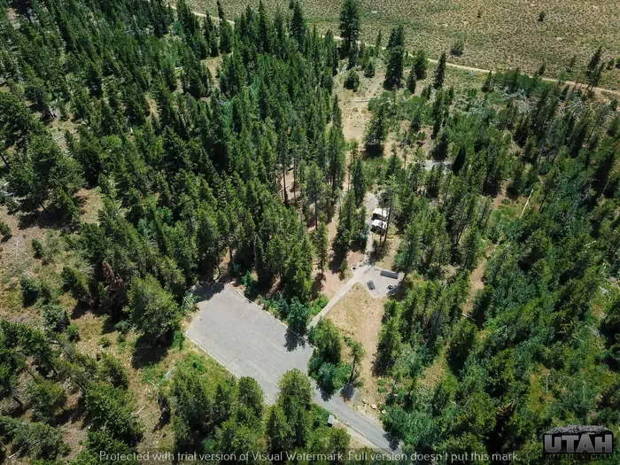 Pine Valley North Wasatch Cach
