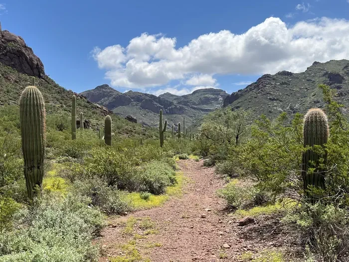 Alamo Canyon Primitive Campground