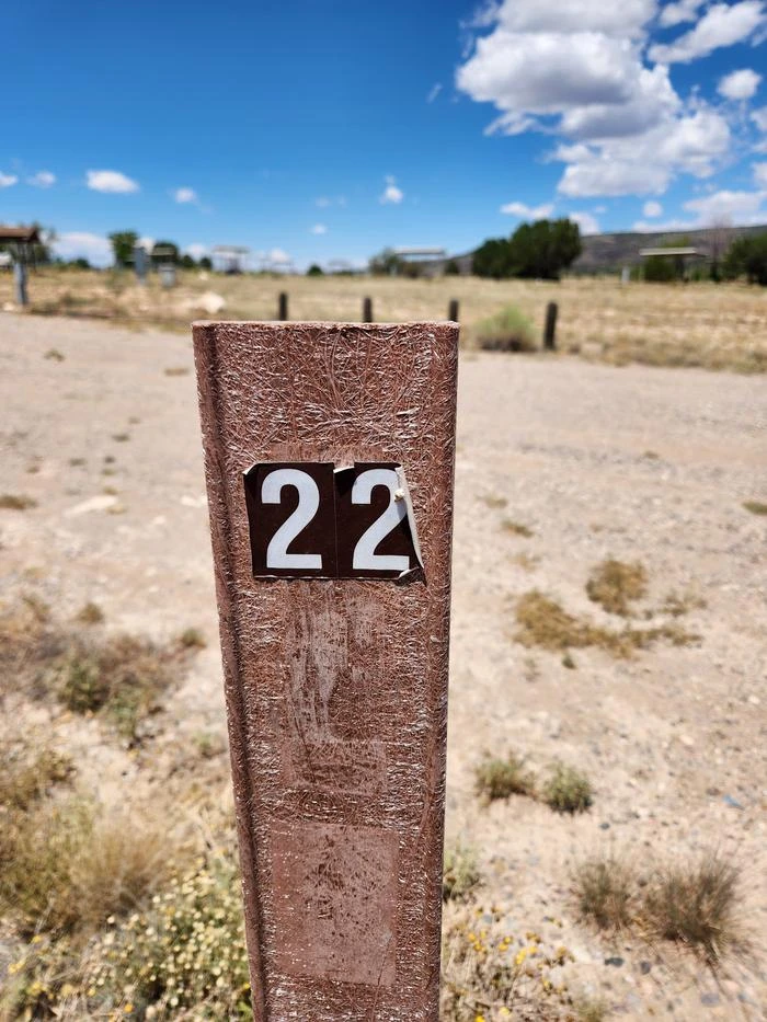 22