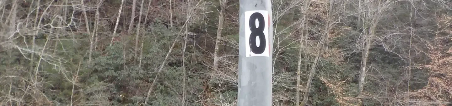 008