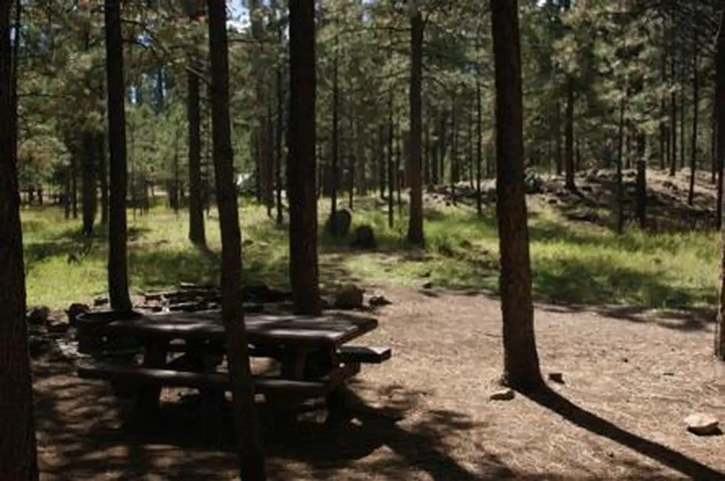 Jemez Falls Campground