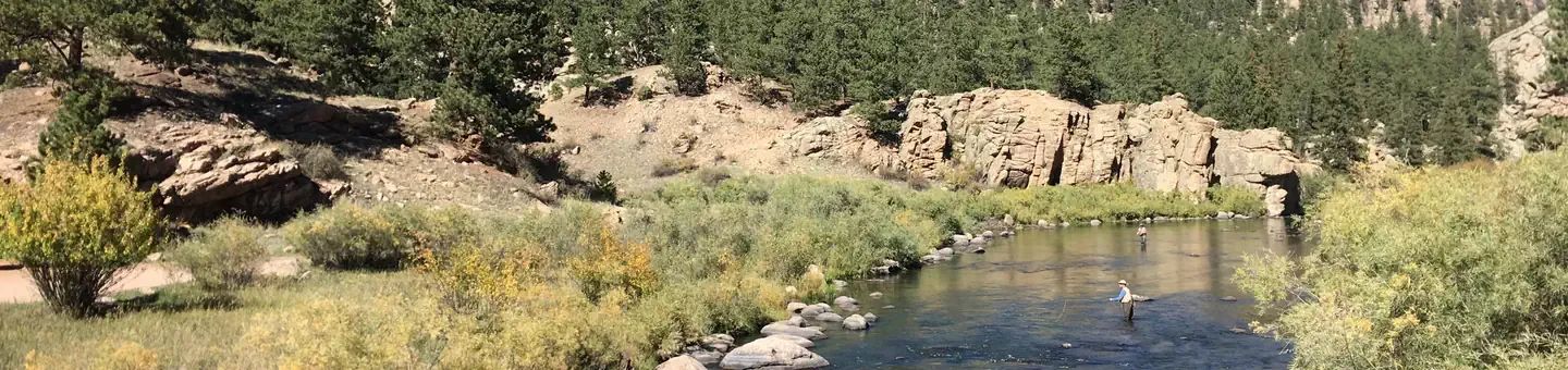 Springer Gulch