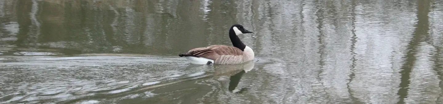 87