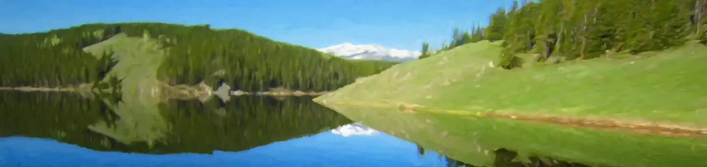 016