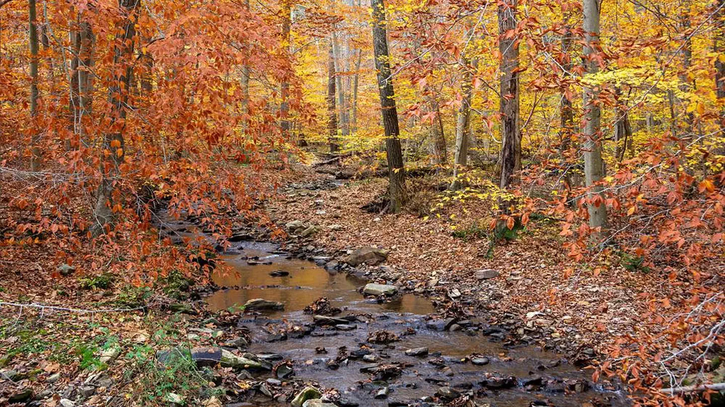 Owens Creek Campground