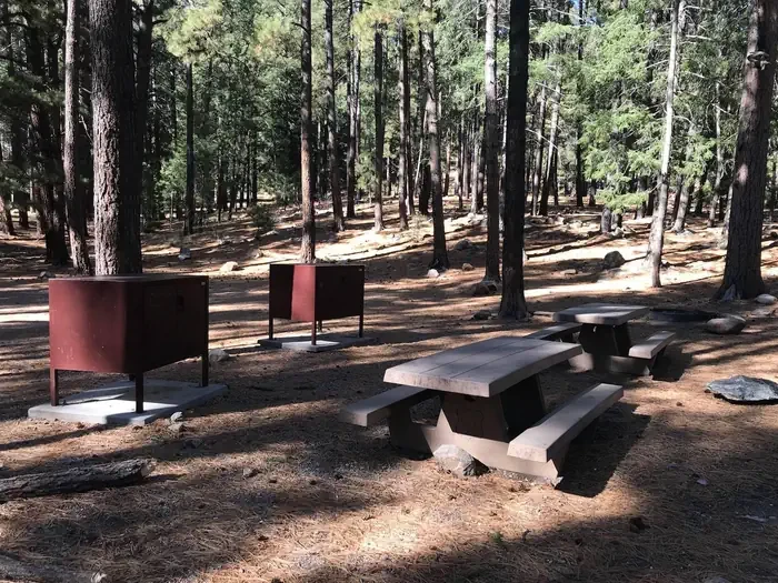 Lower Twilight Group Site