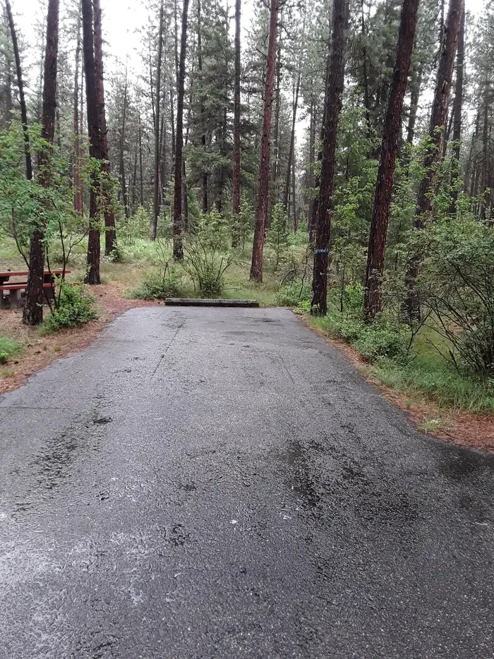 Quartz Flat Campground (MT)