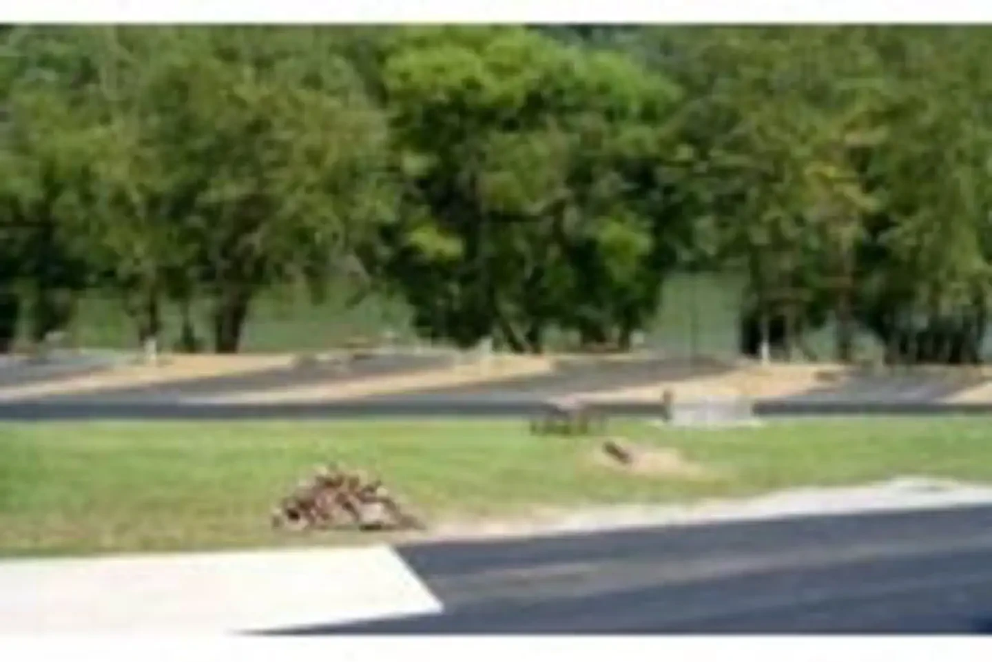 Trace Branch Campground
