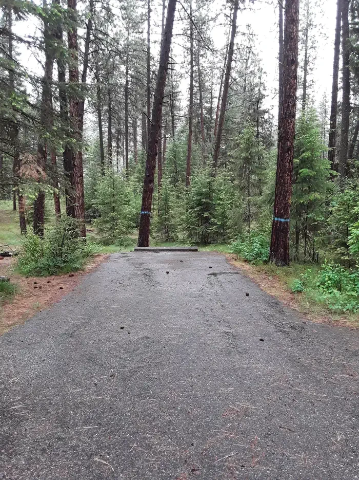 Quartz Flat Campground (MT)