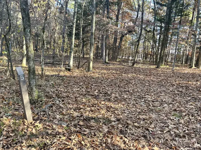 Site 5