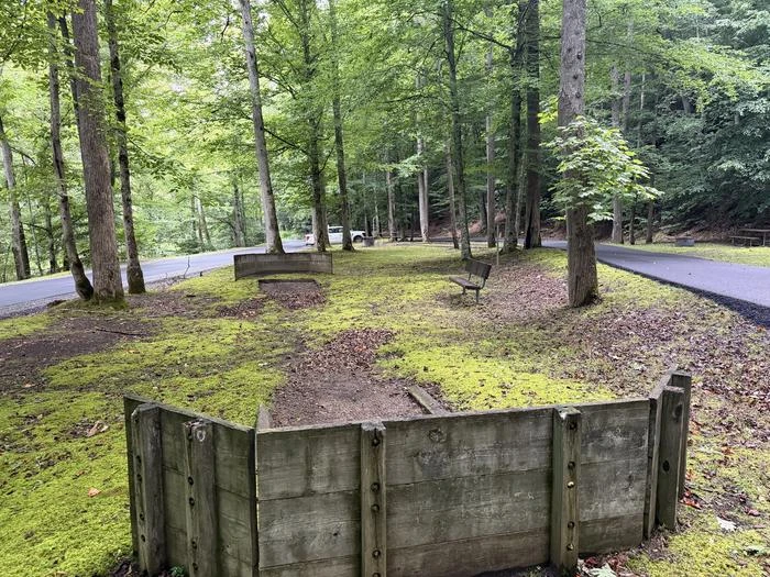Cranesnest Campground (va)