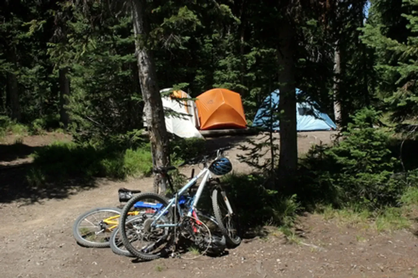 Lewis Lake Campground