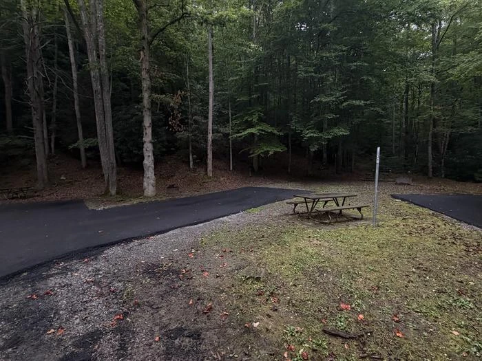 Site 30