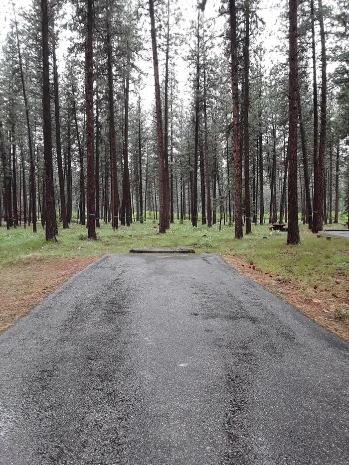 Quartz Flat Campground (MT)