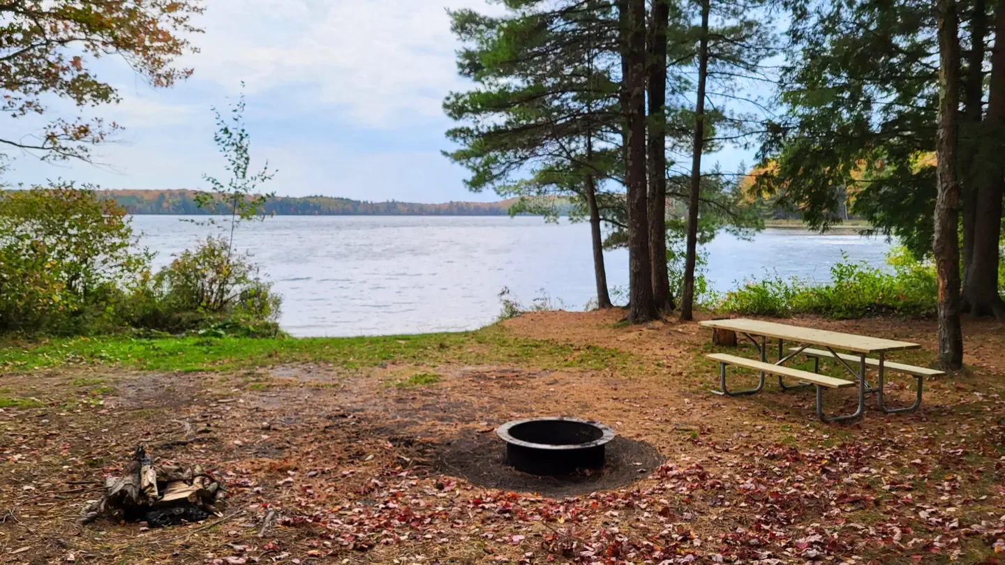 Triangle Lake Campsites
