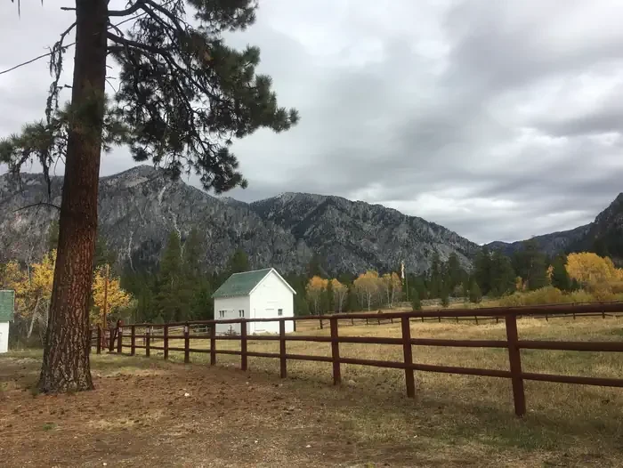 Atlanta Cabin