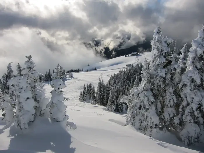 Olympic National Park