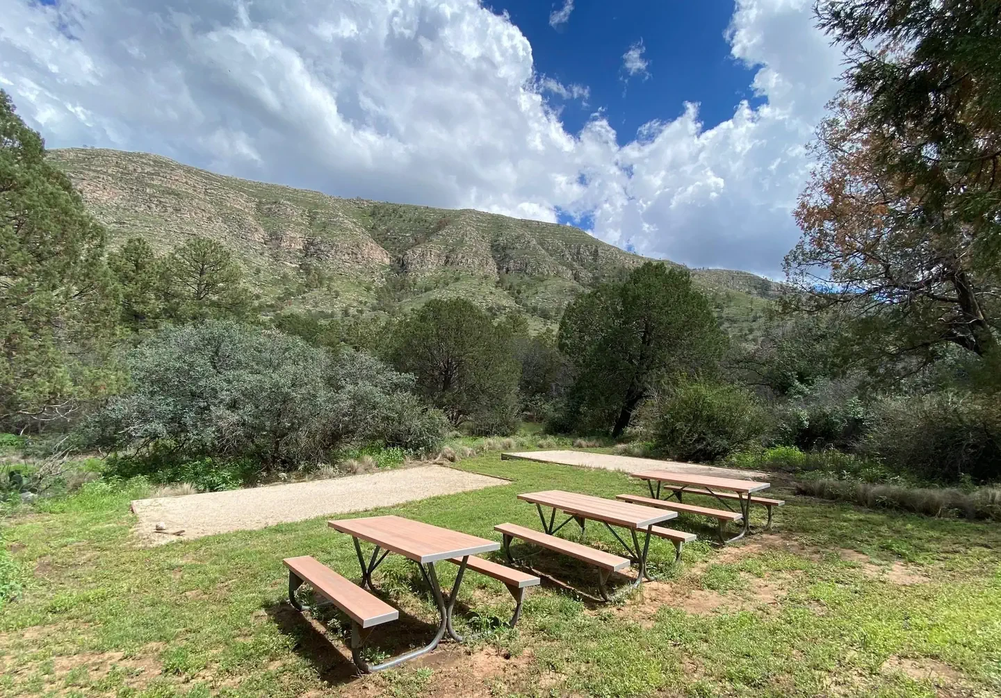 Group Site