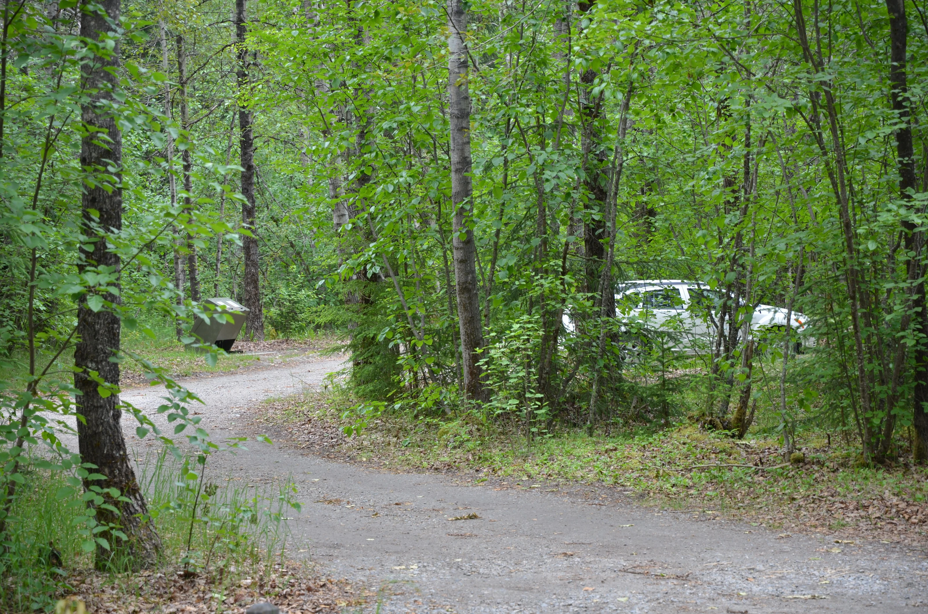 Dyea Campground