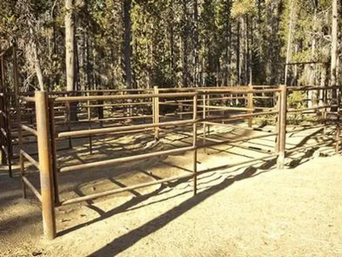 Whitefish Horse Camp