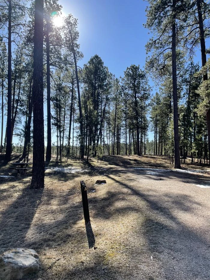 Bearlodge Campground