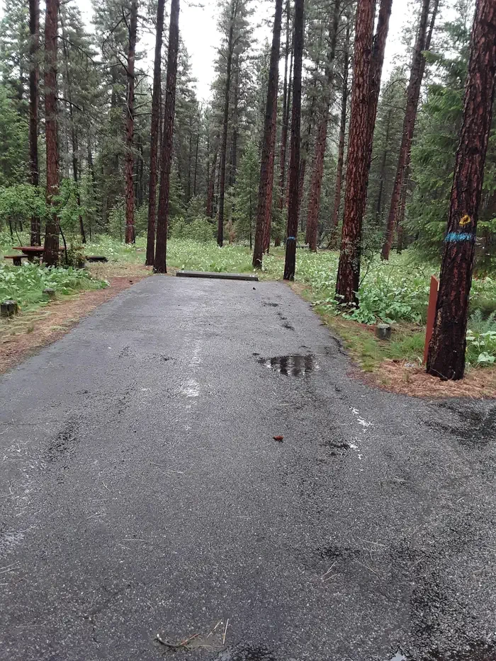 Quartz Flat Campground (MT)