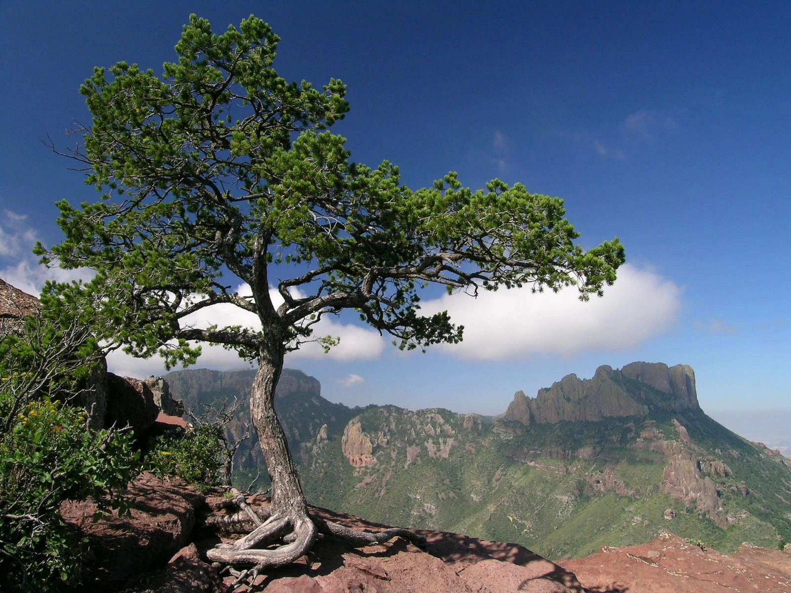 Big Bend National Park