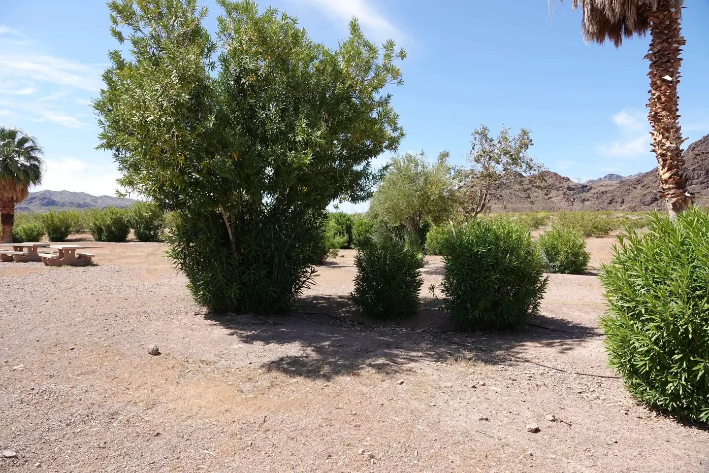 Group Site 3