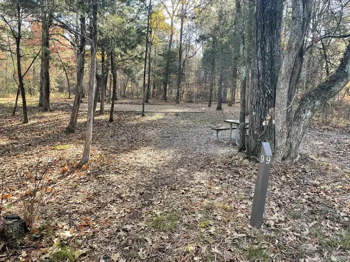 Site 9