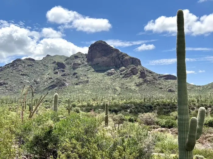 Alamo Canyon Primitive Campground